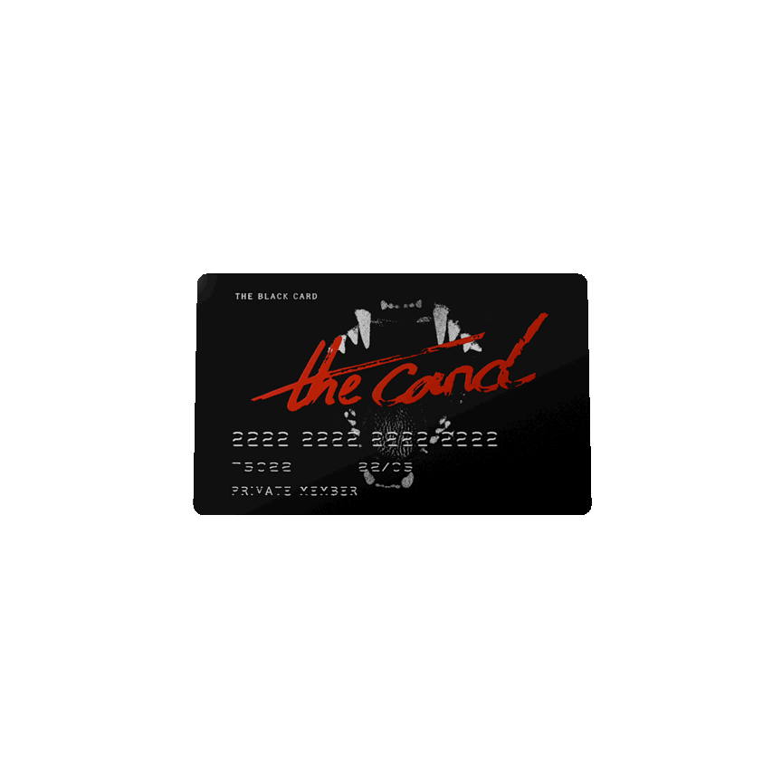 Vinyle « The cat » + T-shirt "Black Cat"+ Black Card