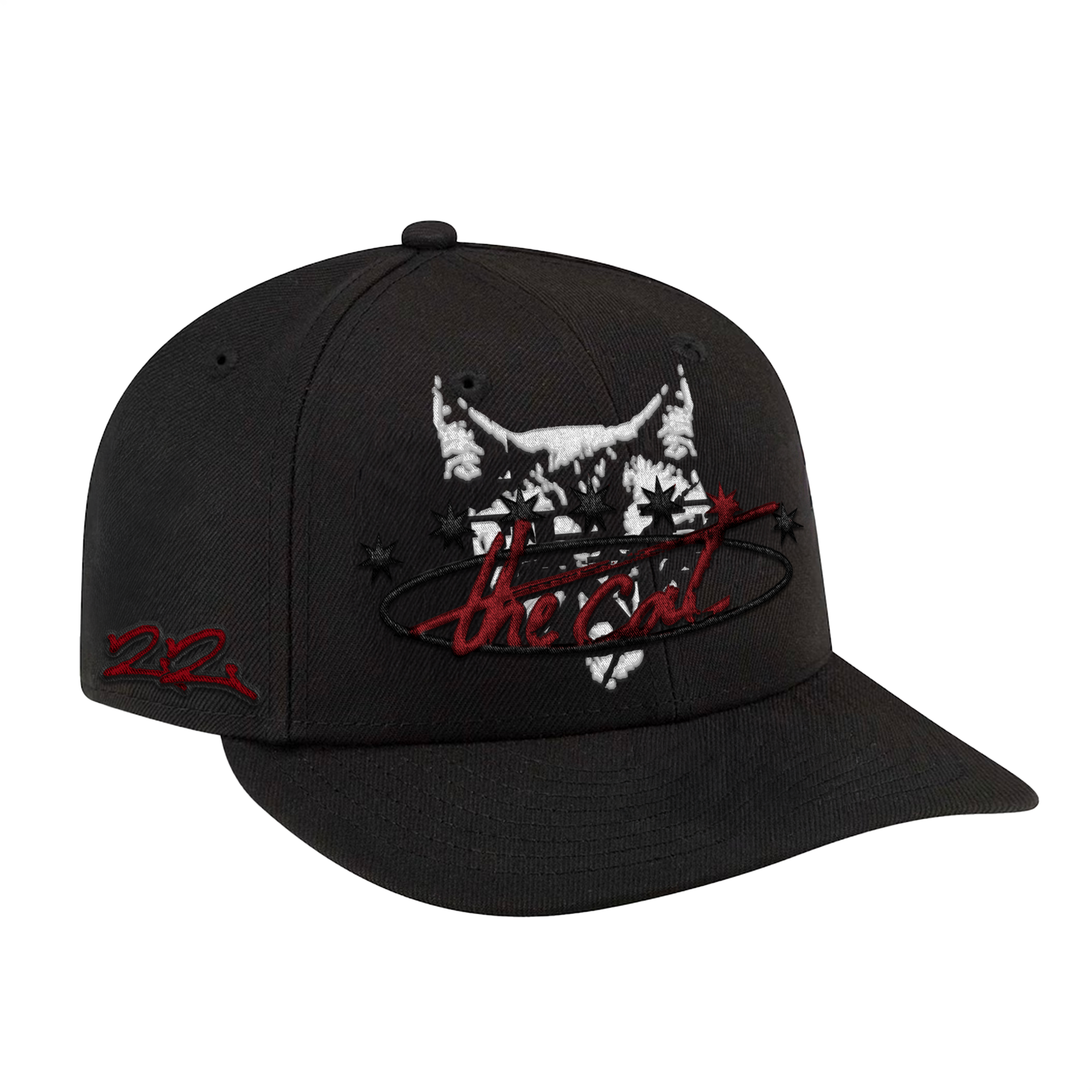 Vinyle « The cat » + Casquette + Black Card